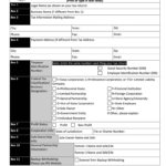 Texas W9 Fill Out Sign Online DocHub