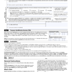 W9 Form 2025 Printable Fillable Blank Instructions Download